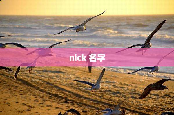 nick 名字