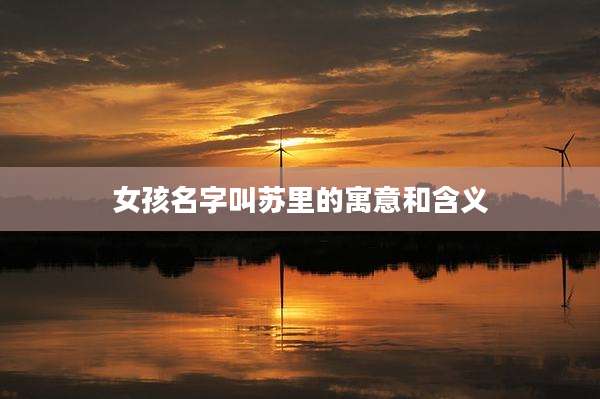 女孩名字叫苏里的寓意和含义