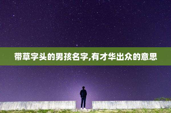 带草字头的男孩名字,有才华出众的意思