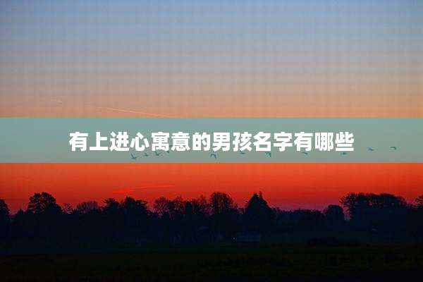 有上进心寓意的男孩名字有哪些