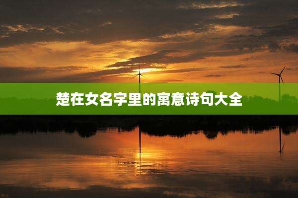 楚在女名字里的寓意诗句大全