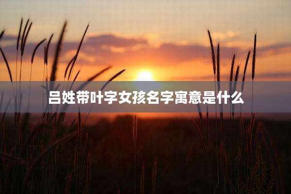 吕姓带叶字女孩名字寓意是什么