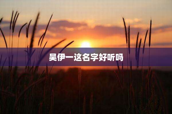 吴伊一这名字好听吗