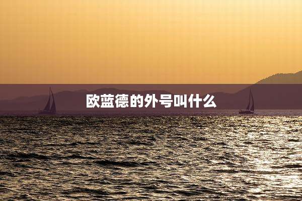 欧蓝德的外号叫什么