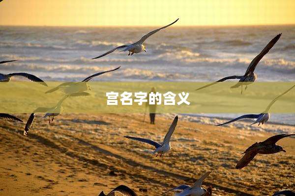 宫名字的含义