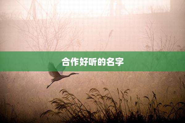 合作好听的名字