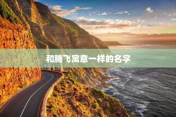 和腾飞寓意一样的名字