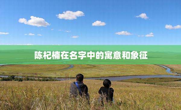 陈杞楠在名字中的寓意和象征