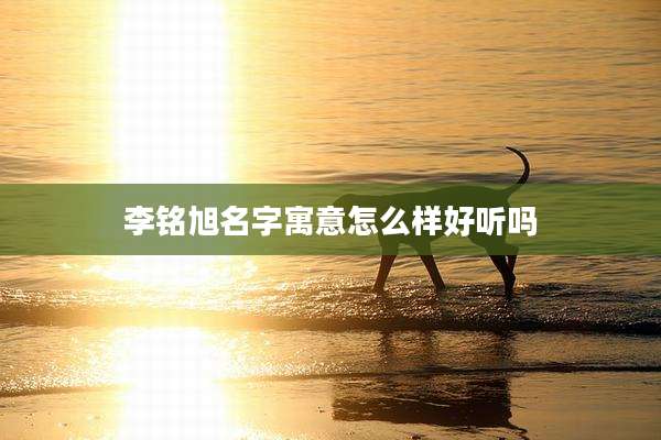 李铭旭名字寓意怎么样好听吗