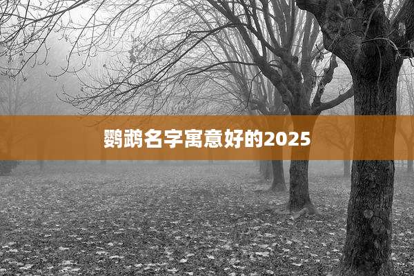 鹦鹉名字寓意好的2025