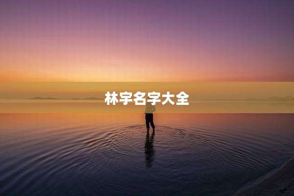 林宇名字大全
