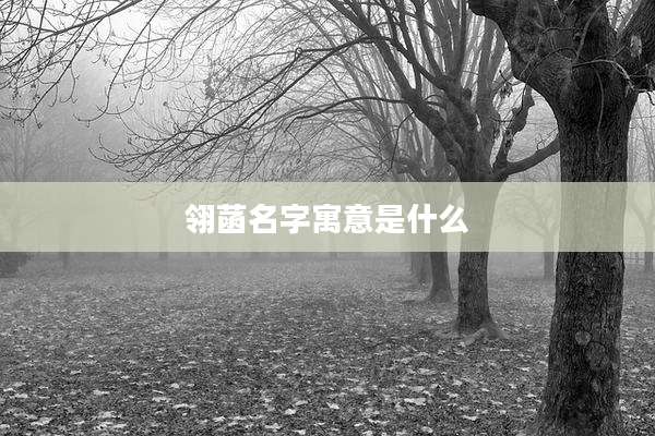 翎菡名字寓意是什么