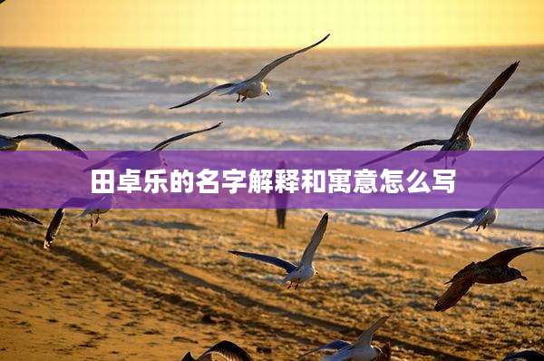 田卓乐的名字解释和寓意怎么写