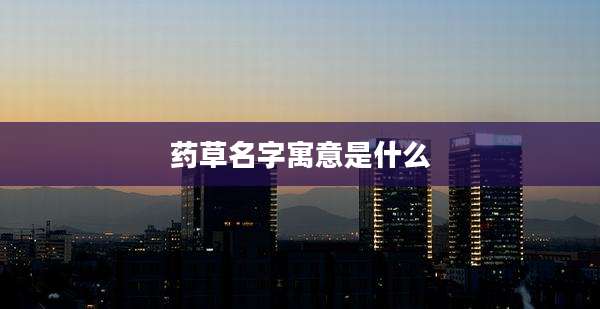 药草名字寓意是什么