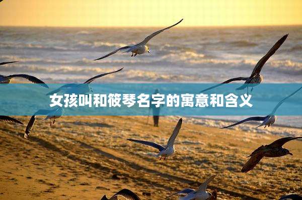 女孩叫和筱琴名字的寓意和含义
