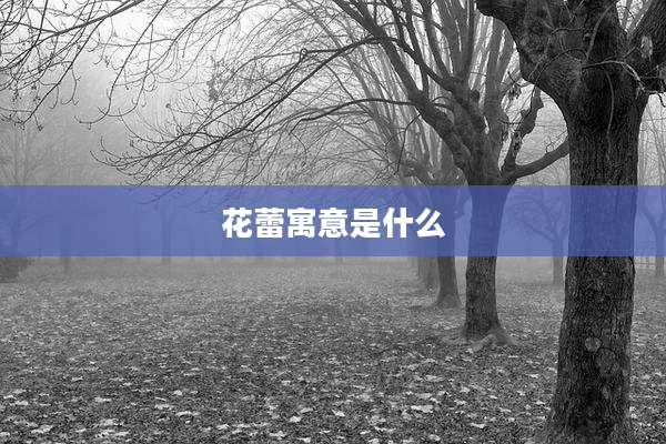 花蕾寓意是什么