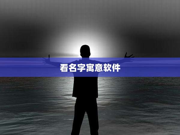 看名字寓意软件