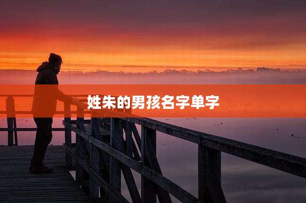 姓朱的男孩名字单字