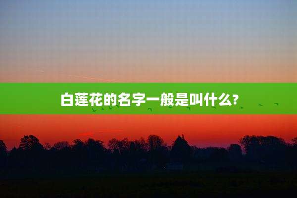 白莲花的名字一般是叫什么?