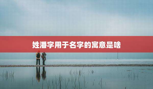 姓潘字用于名字的寓意是啥
