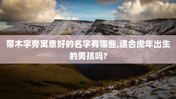 带木字旁寓意好的名字有哪些,适合虎年出生的男孩吗?