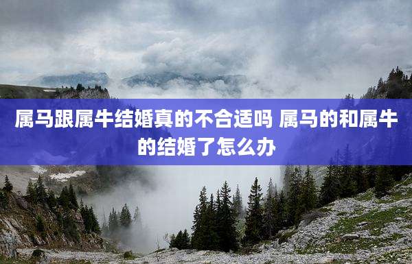 属马跟属牛结婚真的不合适吗 属马的和属牛的结婚了怎么办