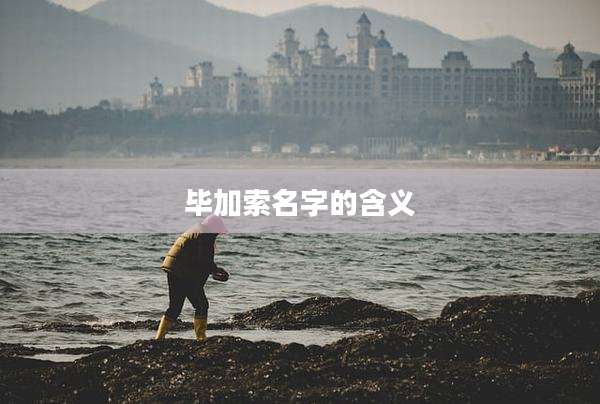 毕加索名字的含义