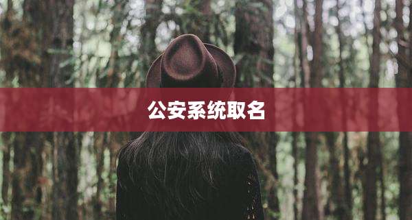 公安系统取名