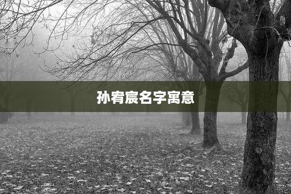 孙宥宸名字寓意