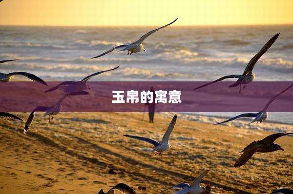 玉帛的寓意