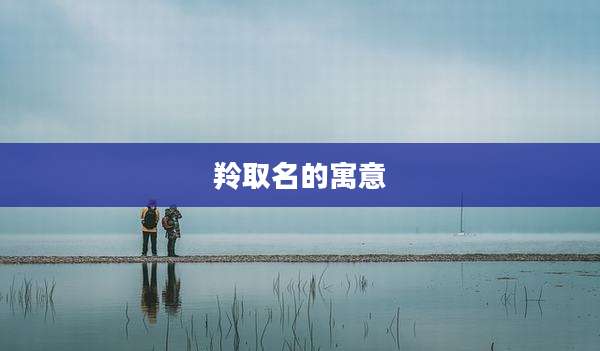 羚取名的寓意
