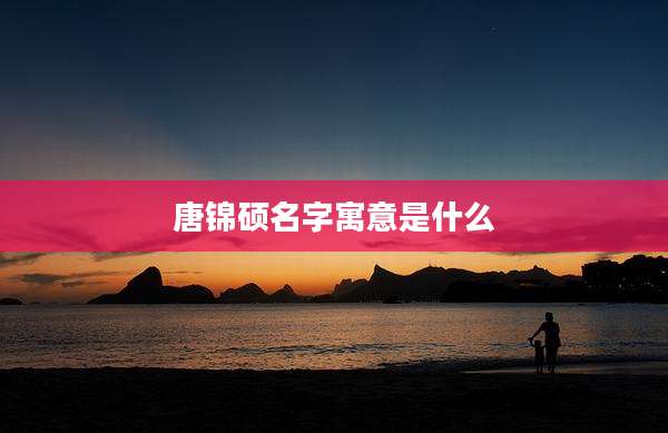 唐锦硕名字寓意是什么