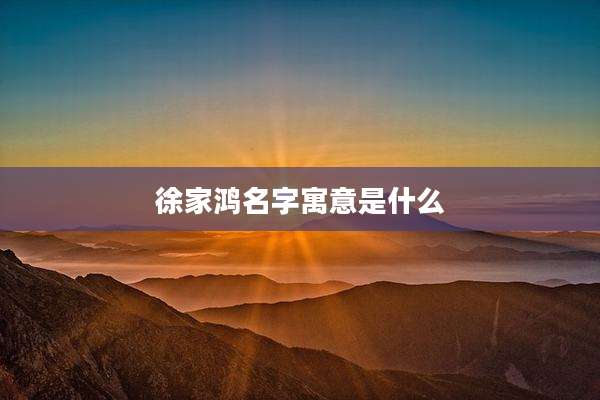 徐家鸿名字寓意是什么