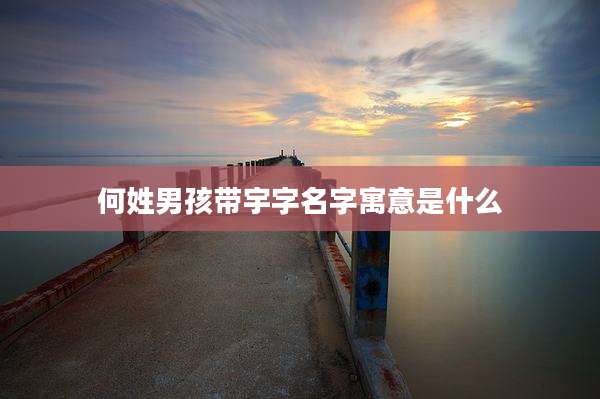 何姓男孩带宇字名字寓意是什么