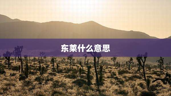 东莱什么意思