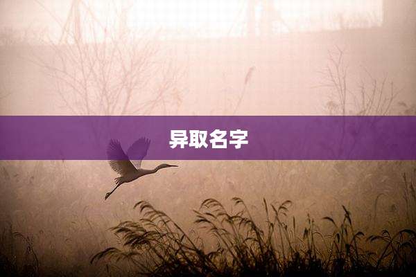 异取名字