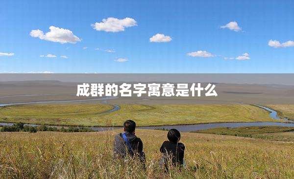 成群的名字寓意是什么