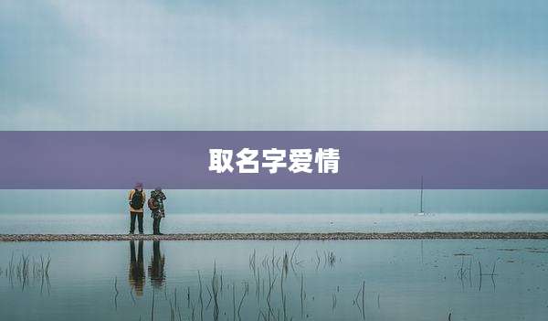取名字爱情
