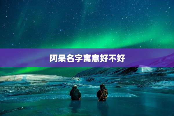 阿呆名字寓意好不好