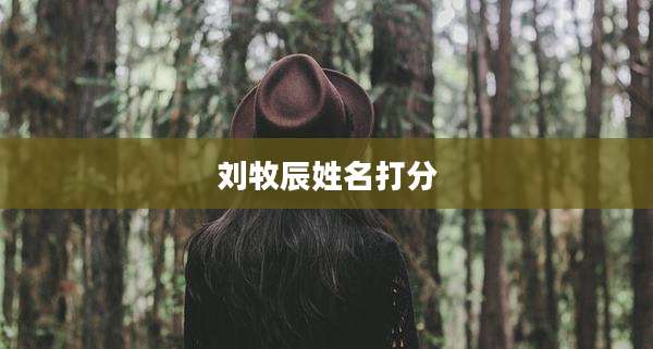 刘牧辰姓名打分