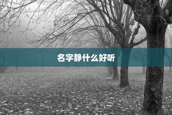 名字静什么好听