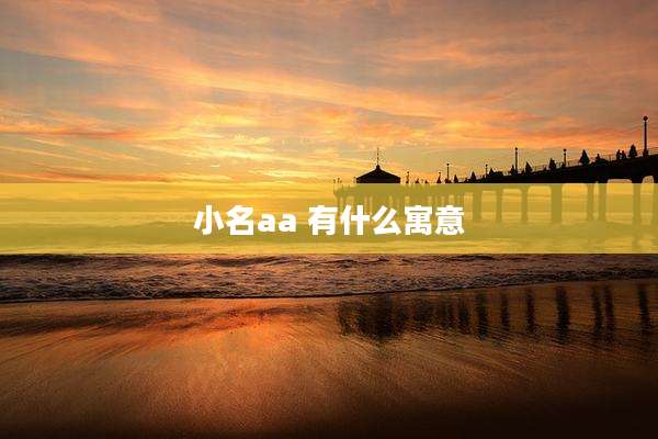 小名aa 有什么寓意