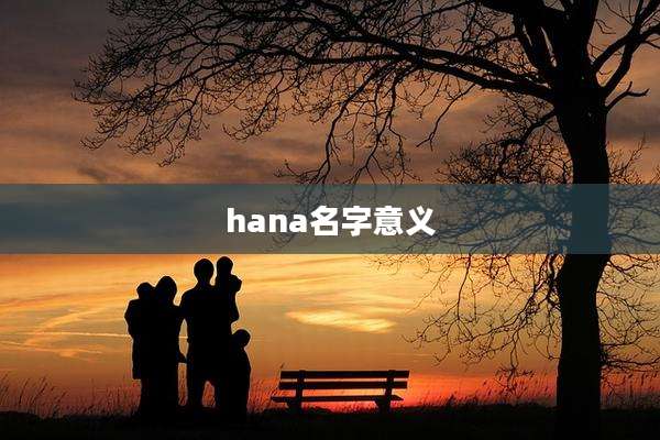 hana名字意义