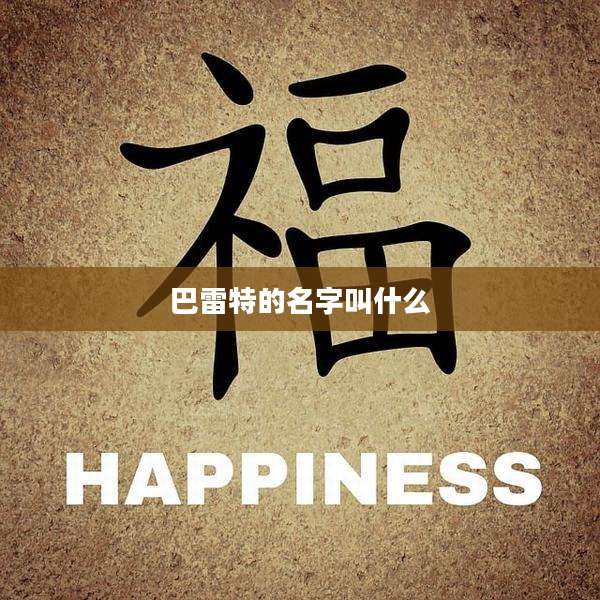 巴雷特的名字叫什么