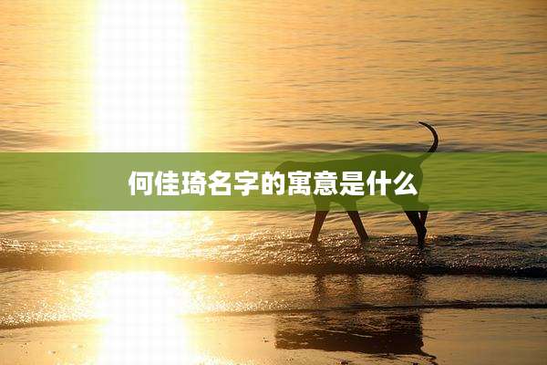 何佳琦名字的寓意是什么