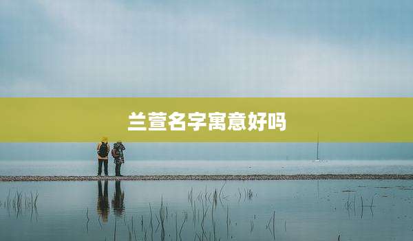 兰萱名字寓意好吗