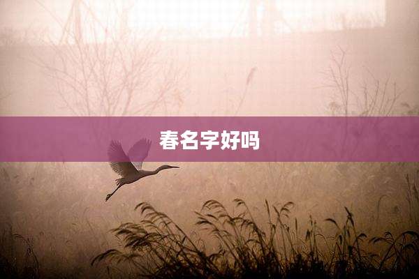 春名字好吗