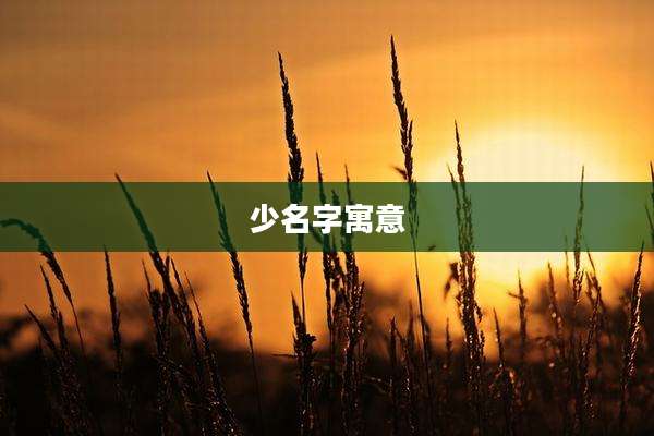 少名字寓意