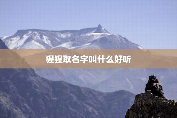 猩猩取名字叫什么好听