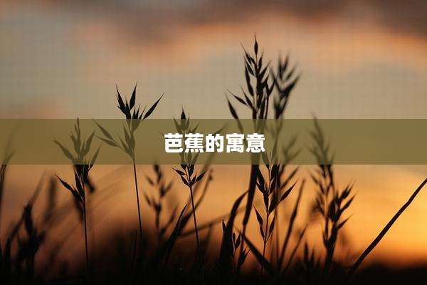 芭蕉的寓意